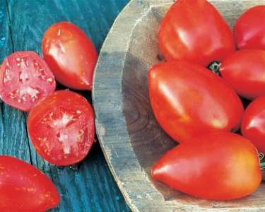 Amish Paste Tomato Seeds